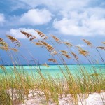 Komar ocean Breeze Fotobehang