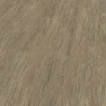 pin oak 53689 mflor